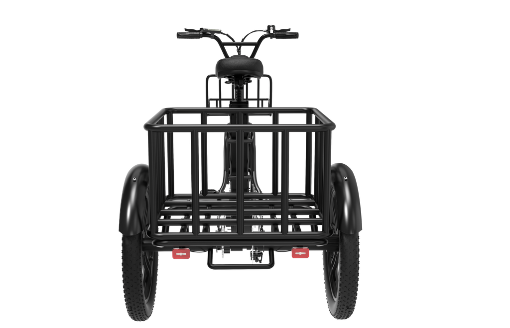 EGO 03 Electric Tricycle