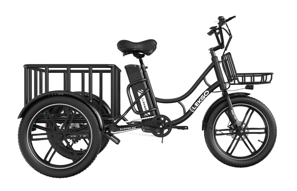 EGO 03 Electric Tricycle