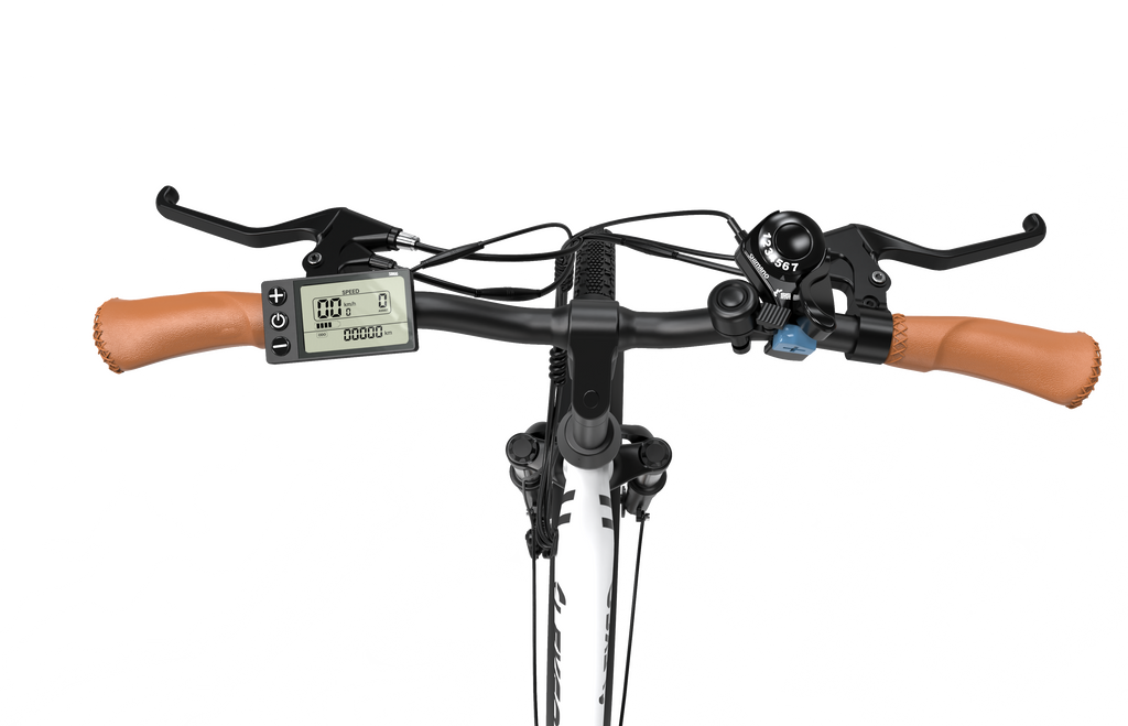 EG31 Electric Bicycle